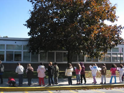 Class Tree